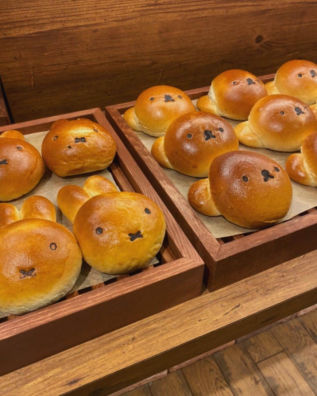 柴田紗希のグルメインスタ