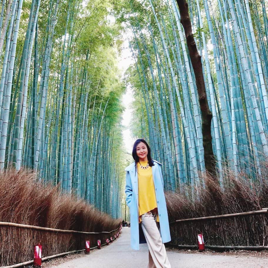 大桃美代子さんのインスタグラム写真 - (大桃美代子Instagram)「京都の嵐山の竹林の小径。  人が少なくなっていました。 😊 野宮神社にご挨拶。👏👏 3年連続のお礼です。  旅先でリュックは両手が使えて重宝します。  パソコンが入るし、仕事でも使っています。  お友達に褒められたコートは、  @amaca_official 。  雑誌STORYとコラボのコートで人気です。😻 フードは取り外し出来ますよ。  色がお気に入りです。😁 撮影の合間のひと時。  12月後半から竹林のライトアップが始まるそうです。  この日はライトアップは未だでした。^_^  京都で過ごす時間は貴重です。  また来ますね。  やっぱり京都はパワースポットだわ。😊 BAG @artisanartistcosme  #京都#嵐山#cafe巡り#嵯峨嵐山#竹林#野宮神社#京都カフェ #amaca @amaca_official #コート#odt  amaca_official。  它在STORY杂志和合作杂志的封面上很受欢迎。  您可以卸下引擎盖。  我喜欢颜色。  枪击之间的片刻。  在京都度过的时间是宝贵的。  我会再来的。  毕竟，京都是一个强国。 😊＃京都＃岚山＃咖啡厅＃佐贺岚山＃竹林＃野宫神社＃京都咖啡厅#amaca @amaca_official＃外套#odt  amaca_official.  잡지 STORY와 코라 보 코트에서 인기입니다.  후드는 분리 할 수 ​​있어요.  색상이 마음에 듭니다.  촬영의 사이의 한때.  교토에서 보내는 시간은 소중합니다.  또 오네요.  역시 교토는 파워 스포트예요. 😊 # 교토 # 아라시야마 #cafe 순회 # 사가 아라시야마 # 죽림 # 노미야 신사 # 교토 카페 #amaca @amaca_official # 코트 #odt#fashion #」12月11日 17時45分 - miyoko_omomo