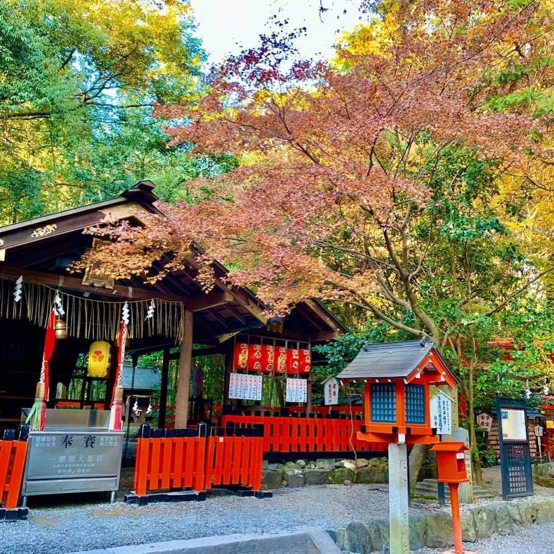 大桃美代子さんのインスタグラム写真 - (大桃美代子Instagram)「京都の嵐山の竹林の小径。  人が少なくなっていました。 😊 野宮神社にご挨拶。👏👏 3年連続のお礼です。  旅先でリュックは両手が使えて重宝します。  パソコンが入るし、仕事でも使っています。  お友達に褒められたコートは、  @amaca_official 。  雑誌STORYとコラボのコートで人気です。😻 フードは取り外し出来ますよ。  色がお気に入りです。😁 撮影の合間のひと時。  12月後半から竹林のライトアップが始まるそうです。  この日はライトアップは未だでした。^_^  京都で過ごす時間は貴重です。  また来ますね。  やっぱり京都はパワースポットだわ。😊 BAG @artisanartistcosme  #京都#嵐山#cafe巡り#嵯峨嵐山#竹林#野宮神社#京都カフェ #amaca @amaca_official #コート#odt  amaca_official。  它在STORY杂志和合作杂志的封面上很受欢迎。  您可以卸下引擎盖。  我喜欢颜色。  枪击之间的片刻。  在京都度过的时间是宝贵的。  我会再来的。  毕竟，京都是一个强国。 😊＃京都＃岚山＃咖啡厅＃佐贺岚山＃竹林＃野宫神社＃京都咖啡厅#amaca @amaca_official＃外套#odt  amaca_official.  잡지 STORY와 코라 보 코트에서 인기입니다.  후드는 분리 할 수 ​​있어요.  색상이 마음에 듭니다.  촬영의 사이의 한때.  교토에서 보내는 시간은 소중합니다.  또 오네요.  역시 교토는 파워 스포트예요. 😊 # 교토 # 아라시야마 #cafe 순회 # 사가 아라시야마 # 죽림 # 노미야 신사 # 교토 카페 #amaca @amaca_official # 코트 #odt#fashion #」12月11日 17時45分 - miyoko_omomo