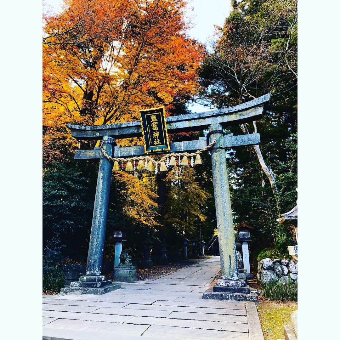 今井翼さんのインスタグラム写真 - (今井翼Instagram)「御参り  塩釜神社  #宮城県 #塩釜市 #七曲坂 #志波彦神社 #塩竈神社 #参拝 #御神塩 #神々しく #清々しい #感謝  #旅人今井」12月11日 18時09分 - tsubasaimai_official