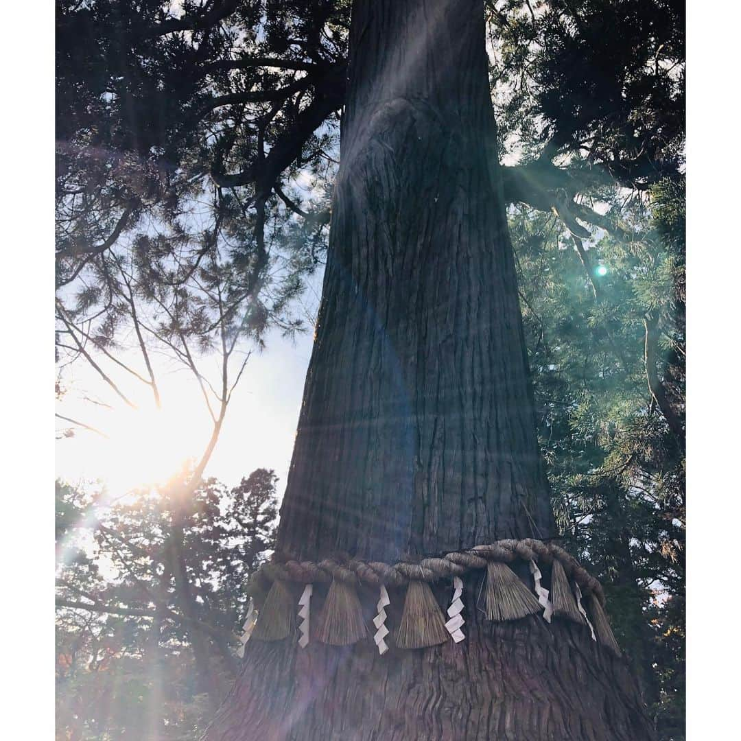 今井翼さんのインスタグラム写真 - (今井翼Instagram)「御参り  塩釜神社  #宮城県 #塩釜市 #七曲坂 #志波彦神社 #塩竈神社 #参拝 #御神塩 #神々しく #清々しい #感謝  #旅人今井」12月11日 18時09分 - tsubasaimai_official