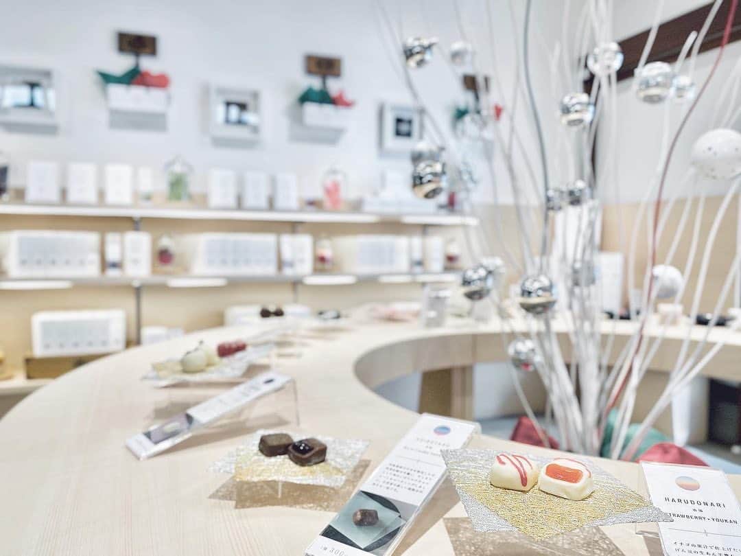 布川桃花のグルメインスタ