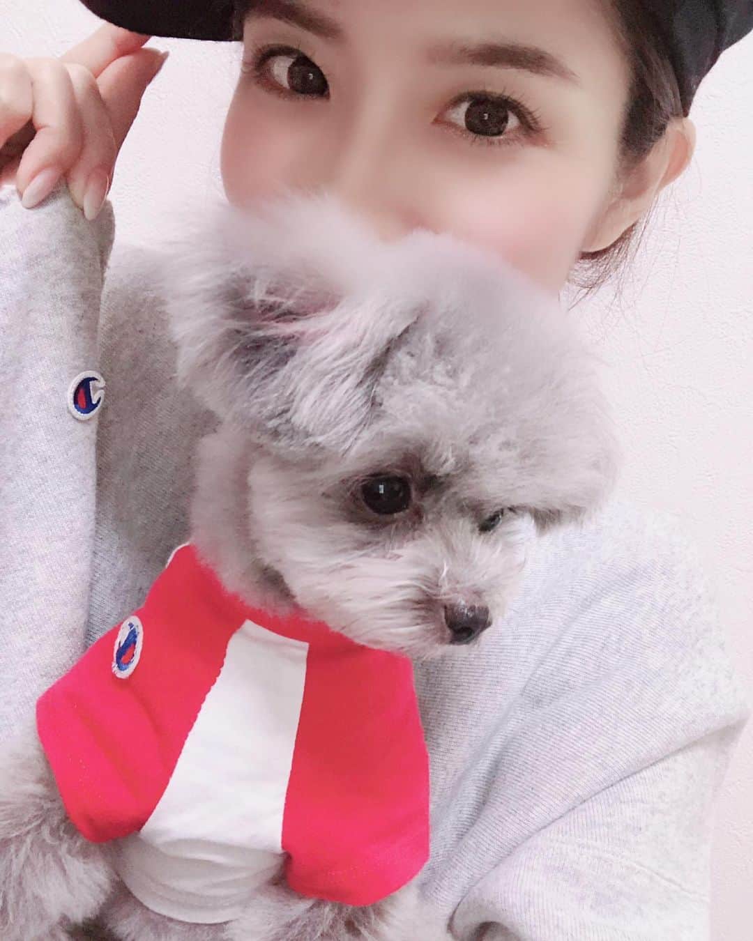 のインスタグラム：「@champion でお揃いコーデ🐻👕👖 #champion  #fashion  #お揃いコーデ  #ポメプー #愛犬 #シルバー #dog #unagi  #鰻 #うなぎさん」
