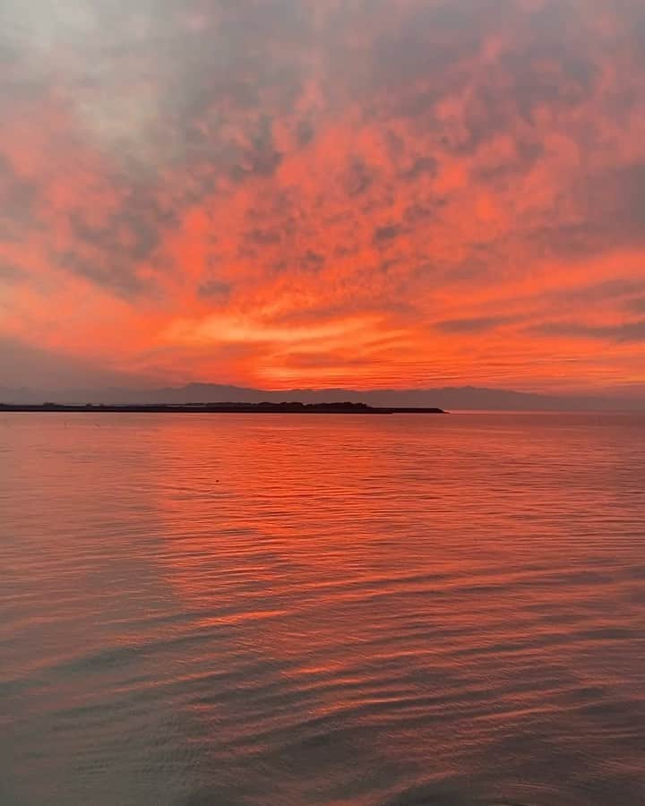 柴田紗希のグルメインスタ