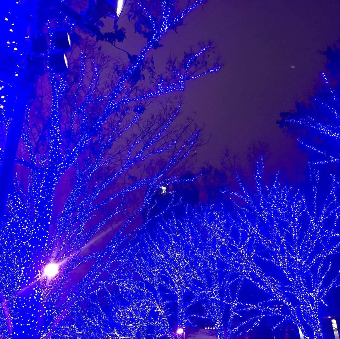フルカウント千葉さんのインスタグラム写真 - (フルカウント千葉Instagram)「#青の洞窟」12月11日 19時05分 - fullcount.chiba