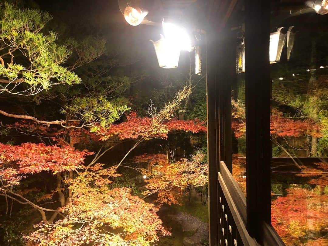 高井直子のグルメインスタ