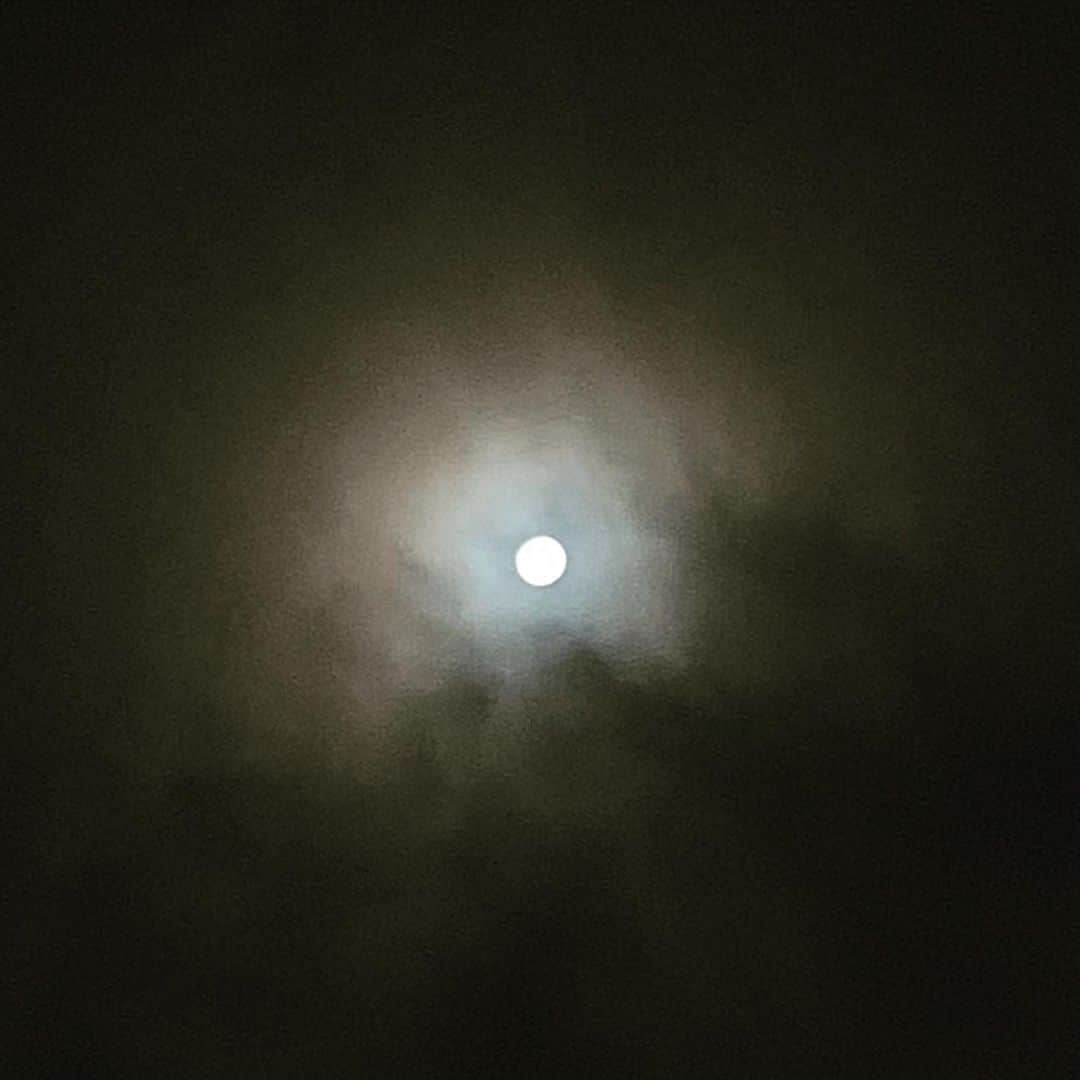 鈴木渉さんのインスタグラム写真 - (鈴木渉Instagram)「ナオトでFNS歌謡祭、こんなメンバーでお送りしました！  帰宅して空を見上げたら満月が輝いていて、お後のよろしい一日となりました。  #fns歌謡祭2019  #ナオトインティライミ #まんげつの夜  #見上げてごらん夜の星を」12月12日 0時36分 - watarumble0223