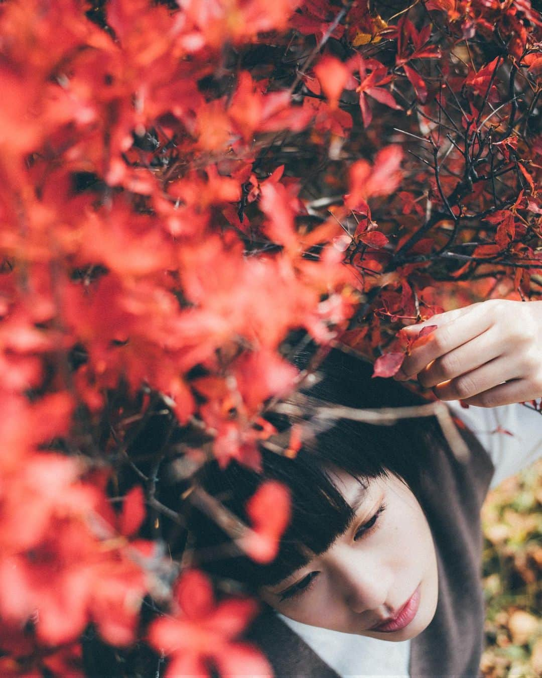 haru wagnusさんのインスタグラム写真 - (haru wagnusInstagram)「Red Phenomenon  ㅤㅤㅤㅤㅤㅤㅤㅤㅤㅤㅤㅤㅤ ㅤㅤㅤㅤㅤㅤㅤㅤㅤㅤㅤㅤㅤ Plant..bloom..harvest That’s the way for our ways. ㅤㅤㅤㅤㅤㅤㅤㅤㅤㅤㅤㅤㅤ #artofvisuals  #leicaphotography  #summilux35asph  ㅤㅤㅤㅤㅤㅤㅤㅤㅤㅤㅤㅤㅤ」12月11日 19時26分 - wagnus