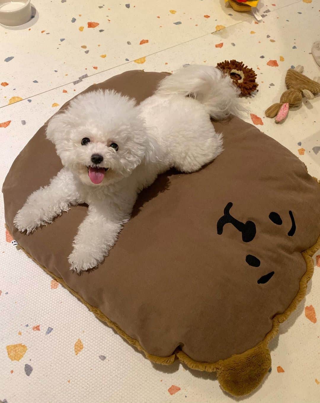 Salt&Heartさんのインスタグラム写真 - (Salt&HeartInstagram)「트리의 두번째 타피 방석🐻 윗면은 시원하고 뒤집으면 따땃하게..🐻 두번째 영상은 🤣🤣🤣🤣🤣 인형인줄 아나봐요? 🤣🤣 세번째는 놀다 지친 🎄 @taaffe.place」12月11日 19時56分 - trio_maison
