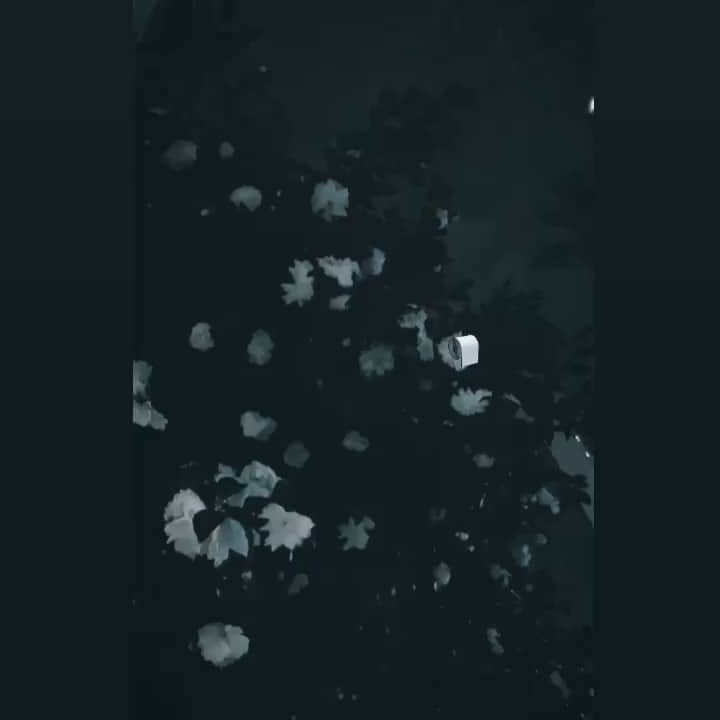 たむらぱんのインスタグラム