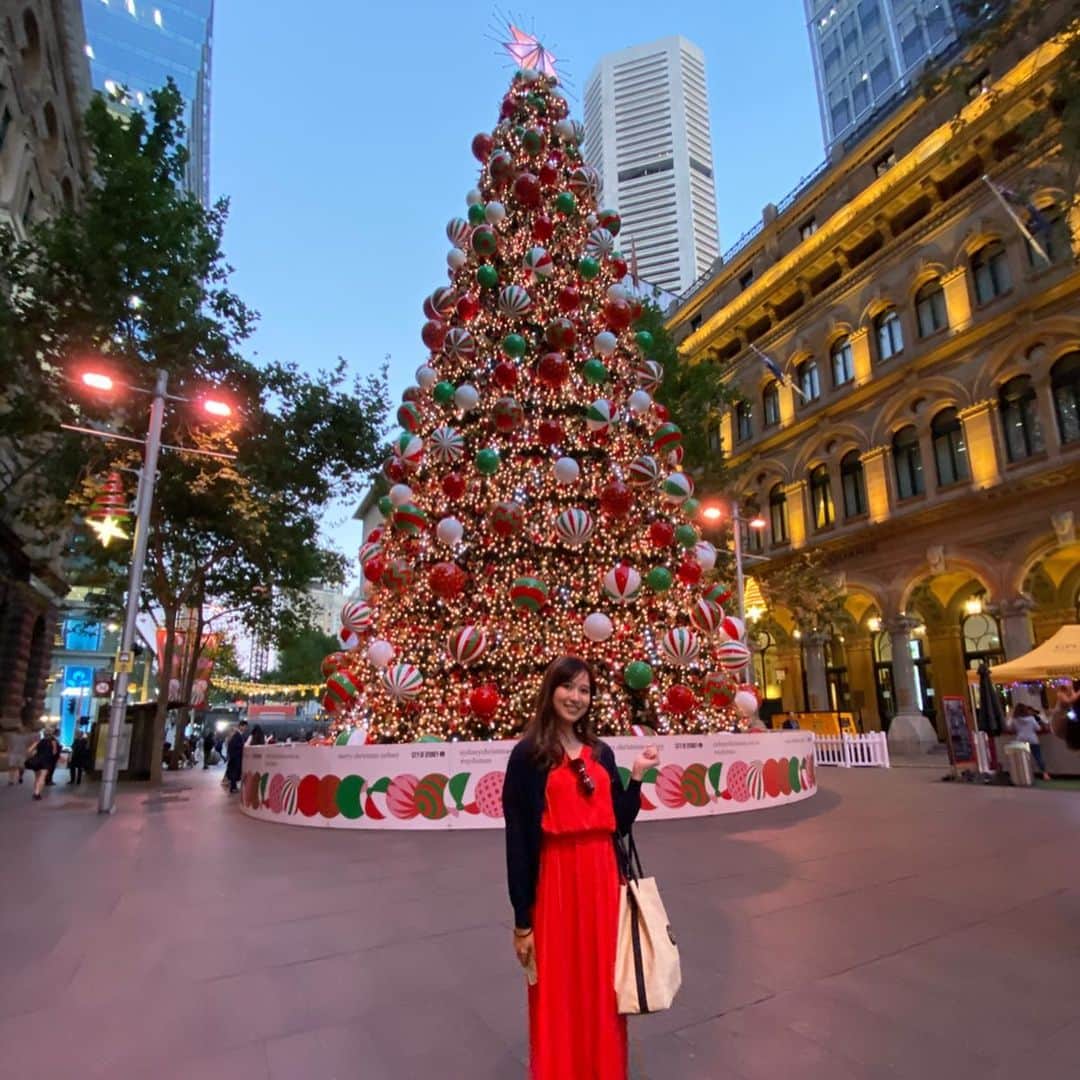 のインスタグラム：「* * オーストラリアは日本と季節が逆だから初夏のクリスマス🎄🎅✨ * しかも夜8時半くらいまで明るいから、なかなか夜にならない🌝⭐️ サンタクロースはまだ明るいうちから、暑さに負けずプレゼントを配るのかな☺️🎅🎄💝 * *  #sydney #australia #trip #travel #japan #🇦🇺 #🐨 #🍽 #☕️ #オーストラリア #シドニー #旅 #旅行 #旅好きな人と繋がりたい #christmas #christmastree #クリスマス #クリスマスツリー #🎄 #🎅 #🎁」