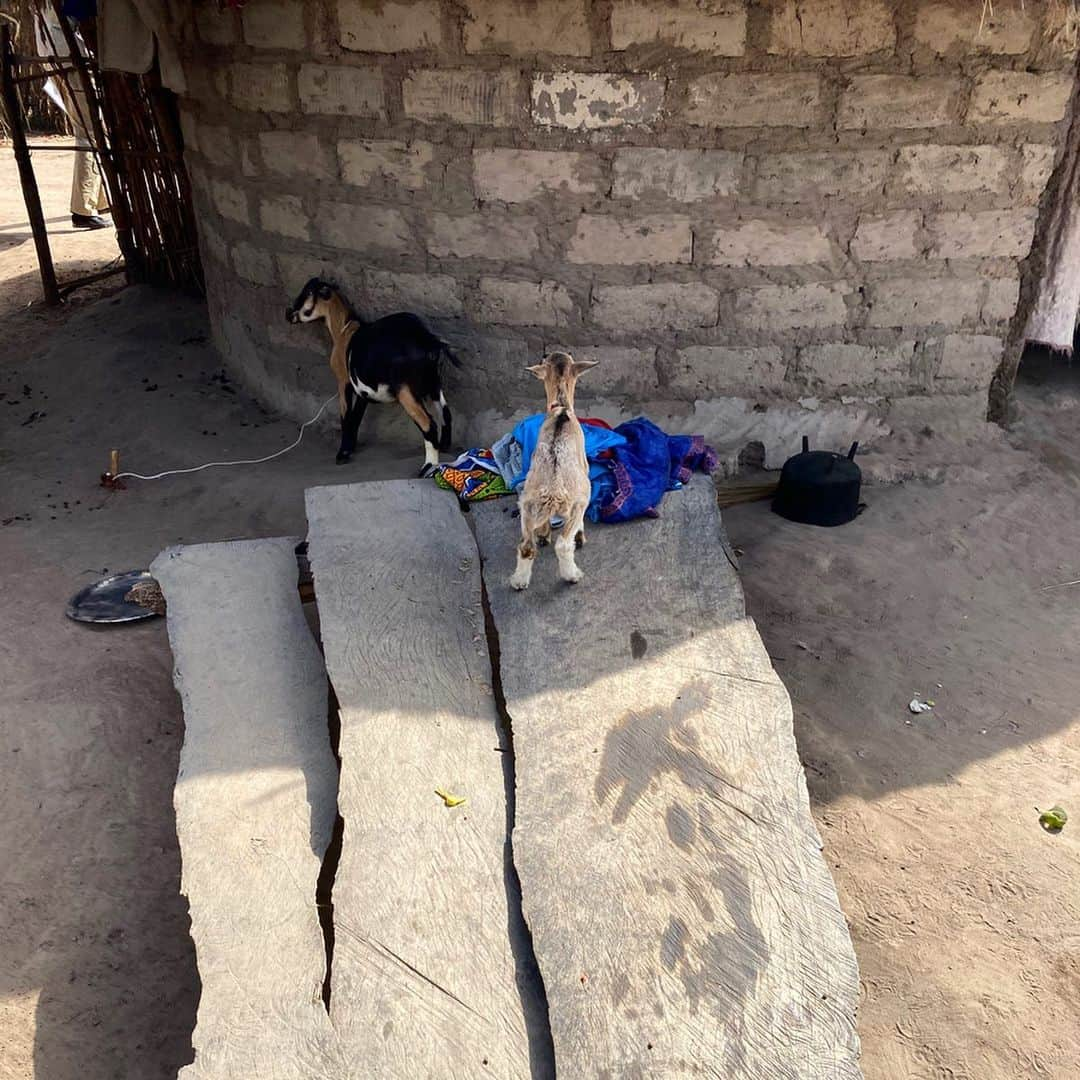 ジジ・ハディッドさんのインスタグラム写真 - (ジジ・ハディッドInstagram)「Our last visit here in Senegal was this morning, in a village (Population: 237) just near the border of Guinea-Bissau. Here we met with dignitaries and female leaders of the village, and, along with the members of the Regional Hygiene Services, came to commend the village on the work they’ve done to improve community health and hygiene for themselves. UNICEF’s WASH Program has supported training and some material for the goal of every compound in the village having a latrine, two hand-washing stations, safer and more protected wells with product needed to purify the water, as well as educating and sensitizing the people of the village on the importance of these programs in order to prevent the spreading of disease, and mostly diarrhea - all projects that community members have built using their own material. The “Natural Leader,” shown in the above video wearing a red turban, has also been trained to educate local women on menstruation hygiene & precautions and has been supplied with reusable period-pads for the women of the village. Since the start of the training and services being implemented here, there has been a significant (almost total) reduction of adults and children suffering from diarrhea. This is one of 40 villages within the region that have had success with these programs, and with UNICEF support, the Regional Hygiene Service is on its way to cover the whole region with integrated actions on water, hygiene, and sanitation. They are also training community leaders to monitor pregnant women, pre-natal care, and malnourished children. We thank them for hosting us, sharing their stories, supporting these interventions and taking ownership of improving these conditions in their village. 💙🧼」12月11日 21時28分 - gigihadid