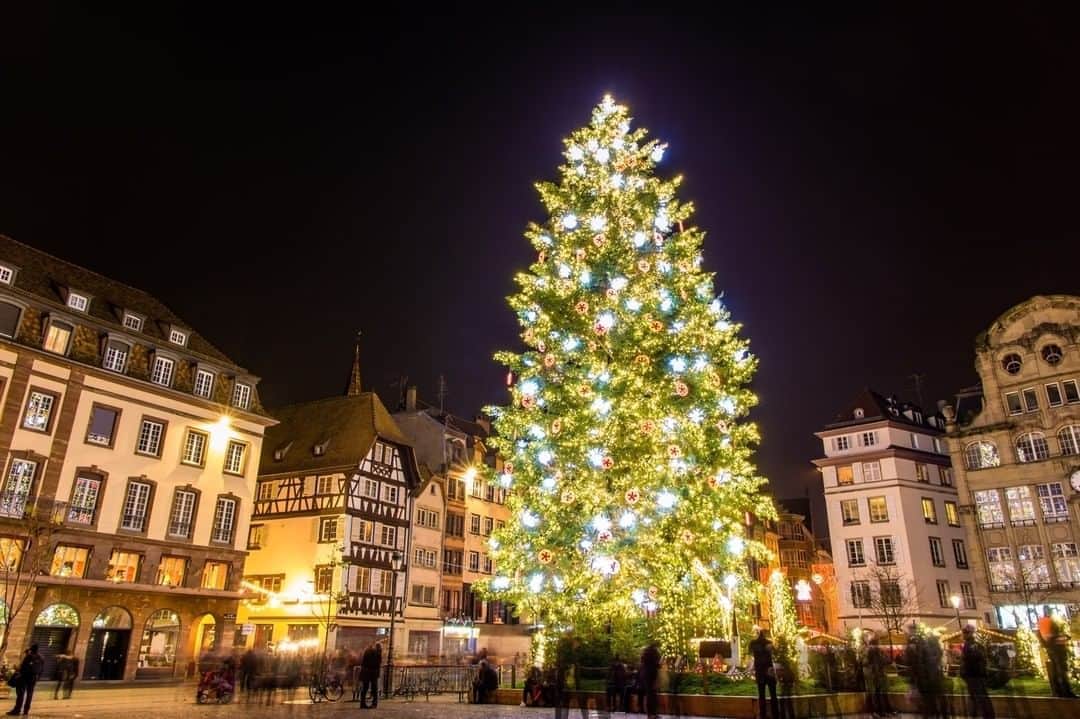 Booking.comのインスタグラム：「ヨーロッパにはクリスマスの首都と呼ばれる町があります。どこだと思いますか？ 正解は…フランスのストラスブール🇫🇷クリスマスツリー発祥の地であるストラスブールには、1570年から続くフランス最古かつヨーロッパ最大級のクリスマスマーケットが毎年訪れる人々を楽しませています🎄およそ300ほどの屋台が並び、町中がクリスマスを楽しみ煌びやかなひと時を過ごすことができます。 クリスマスの首都をぜひ訪れてみませんか？ ストラスブールのホテル・宿はプロフィールリンクから検索☝️ #クリスマス #クリスマスマーケット #ストラスブール」