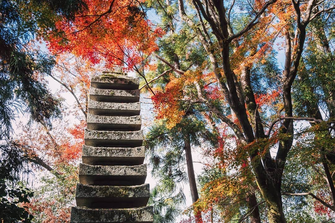 京都いいとこフォトさんのインスタグラム写真 - (京都いいとこフォトInstagram)「. 哲学の道から少し山手に入った所にある法然院。 紅葉に囲まれた境内には静かな時間が流れていました。 . . Honen-in Temple is located in the hilly sections from the Philosopher's Path. There was a quiet time in the precincts surrounded by autumn leaves. . Date:2019.12.3 Location:#honenin #法然院 Photo:@iharalba . . お陰様で、当アカウントの投稿が1000ポストを迎えました。 いつも沢山のいいねやコメント、本当にありがとうございます。 これからもよろしくお願いいたします。 . Thanks to you, this account has reached 1000 posts. Thank you very much for all the likes and comments. We are looking forward to hearing from you. .」12月11日 22時39分 - kyoto_iitoko