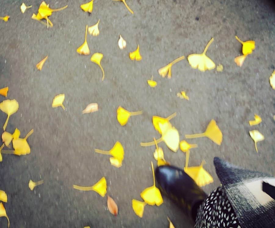 三倉佳奈さんのインスタグラム写真 - (三倉佳奈Instagram)「今年分の紅葉満喫しました🍁  #autumnleaves」12月11日 22時50分 - kana_mikura0223