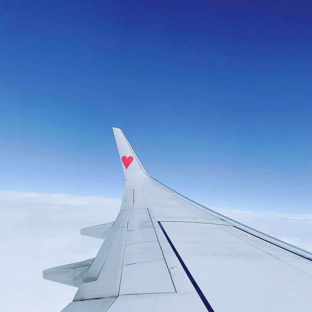緒方咲さんのインスタグラム写真 - (緒方咲Instagram)「❤️ . #飛行機 #飛行機の窓から #空の写真 #青空 #青空が好き #空の旅 #スカイマーク #写真 #写真好きな人と繋がりたい #airplane #wings #wing #bluesky #photos #photography #sky #skylovers #airline #airport #japan」12月12日 8時39分 - chaaansaki