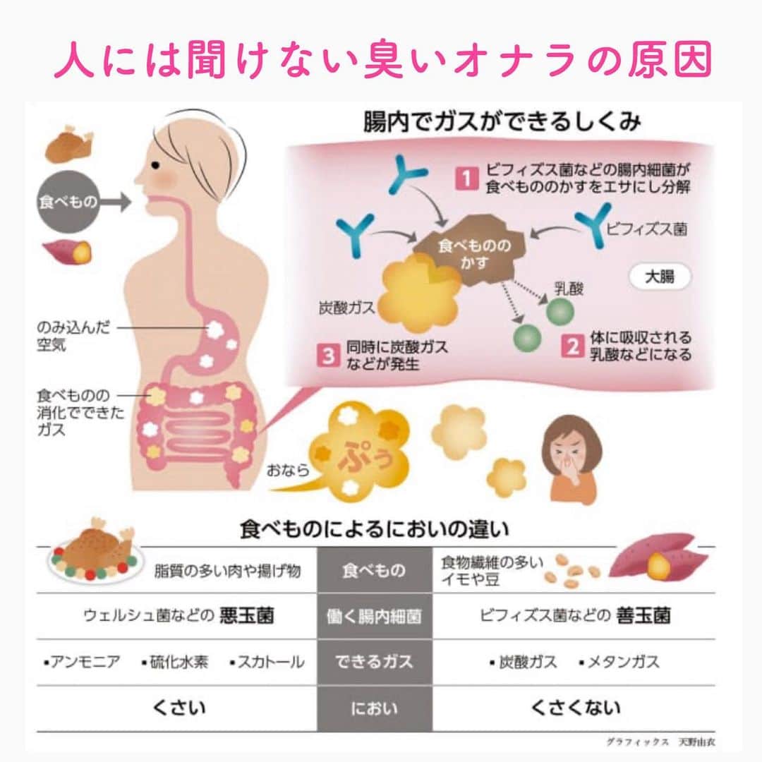笑顔をリフォームする@健康小顔職人のインスタグラム：「． なかなかオナラの話って人とすることがないのでオナラの原因って知りたくないですか？ ． ●おならの原因は？ 口から飲み込んだ空気と、腸内で食べ物を分解するときに発生するガスが合わさったものがおなら。ほとんどのガスは腸管に吸収されるが、吸収されなかったものが、おならとなって体外に出て行く。おならは、腸内細菌のバランスが崩れたときや、早食いをしたり、ガムや飴を多く食べたときに、口から飲み込む空気が増えて出やすくなる。 ． 原因はなんとなく分かったと思います。では、オナラの臭いはどうなの？って思いますよね。 ． 臭いの原因は腸内の善玉菌と悪玉菌によるそうです。食物繊維や乳製品、発酵食品など上手に摂り入れて善玉菌を育ててくださいね！ ． ． 幸せな笑顔が世界中に沢山溢れますように✨ ． ． 💆🏻‍♀️心美体を整える「小顔整顔トリートメント」 👰ブライダル小顔🤰マタニティ小顔＆足リフレ ♨️代謝を上げる「Hot&Coldストーンリンパマッサージ」 ご予約はプロフ🔗→HP→予約サイトへ！ ． ． ✨気を整えて心と体を健康に！チャクラエネルギーセラピー ※Hペッパー等の予約サイトからは予約できません。ご予約は必ずホームページからお願いします(プロフ🔗) ． ． 💟あなたも小顔職人になれる👍 小顔職人養成スクール！スクール生募集中！詳細・お申込はプロフ→HP→小顔養成スクールへ！ ． ． 🍀小顔職人が作ったリフトアップクリーム&ボタニカルオイルを紹介！更に小顔や美容を解説！ @happy_cosme_kogaoshokunin ． ． #おなら#腸内環境#善玉菌#悪玉菌#健康 #幸せはいつも自分が連れてくる #笑顔は世界を明るくする #皆んなでハッピーになろう #自分を愛そう #世界が愛で溢れますように #自然治癒力は素晴らしい  #健康な小顔になろう #体温を上げて代謝を上げよう #心身共に整ってこそ美容 #笑顔をリフォームする小顔職人 #いつもご覧頂きありがとうございます」