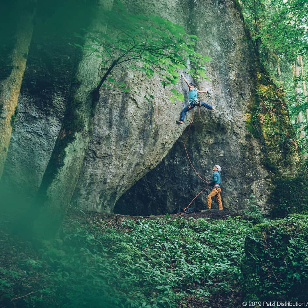 ヨルグ・バーホーベンさんのインスタグラム写真 - (ヨルグ・バーホーベンInstagram)「This photo was taken during a @petzl_official photoshoot connected to the #BelayBetter campaign. Initially we chose a fun and steep 8a on good holds with many bolts, but then the crew saw this little corner route and couldn't be stopped: @katha_saurwein ventured up the mossy dihedral (which we thought was 7b, but turned out 8a+) and with some spaced bolts and awkward falls belaying suddenly turned interesting for real 😅🙊😱. A great photo by @mathis_dumas and an even better campaign. I'm not always a fan of large ad campaigns, but making climbers (incl. myself) aware of their belaying for sure is something useful, I hope most will agree with that?!」12月12日 1時05分 - jorgverhoeven