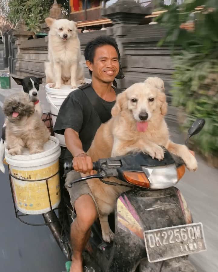 bestvacationsのインスタグラム：「Tag your squad!!! 🐶 Some happiness from Bali! By @doyoutravel」
