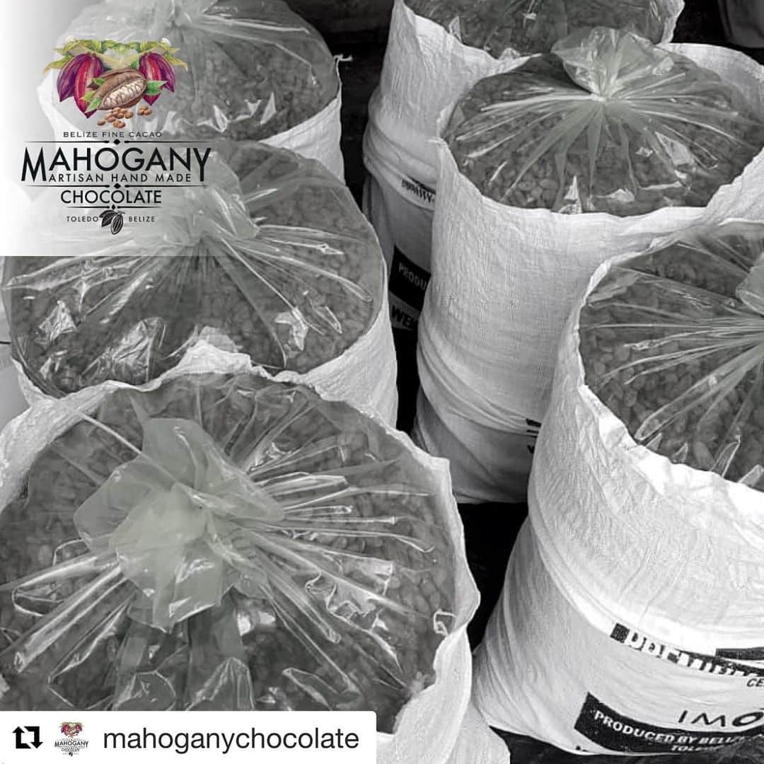 Concheのグルメインスタ