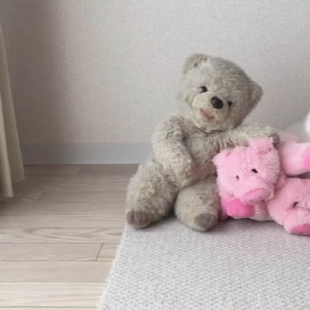 ゆうのインスタグラム：「. . あれ？眠そうなのがいる😪 . . . . #得意技はぬいぐるみのものまね #🐻🐷 . . .」