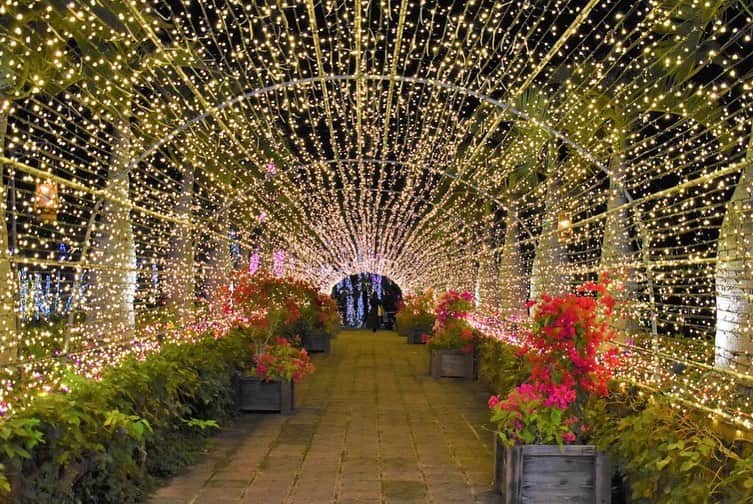 沖縄県民のおでかけ応援サイト「ちゅらとく」のグルメインスタ