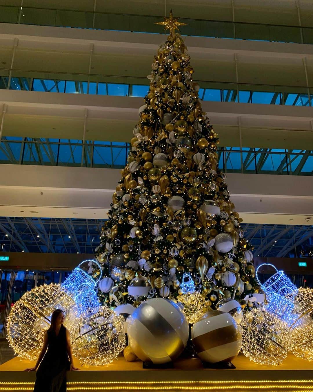 陽菜えみるさんのインスタグラム写真 - (陽菜えみるInstagram)「. . Christmas season🎄💋 . . . #シンガポール #シンガポール旅行 #マリーナベイサンズ #屋上 #屋上プール #プール #ナイトプール #プールサイド #夜景が綺麗 #夜景 #絶景 #絶景スポット #世界の絶景  #夜景の見えるプール #夜景好きな人と繋がりたい  #シンガポール航空 #シンガポール料理 #海外旅行 #海外 #旅行大好き #旅行好きな人と繋がりたい #singapore #singaporetrip #tripgram #marinabaysands  #marinabay #marinabaysandshotel」12月12日 17時54分 - emiru_haruna