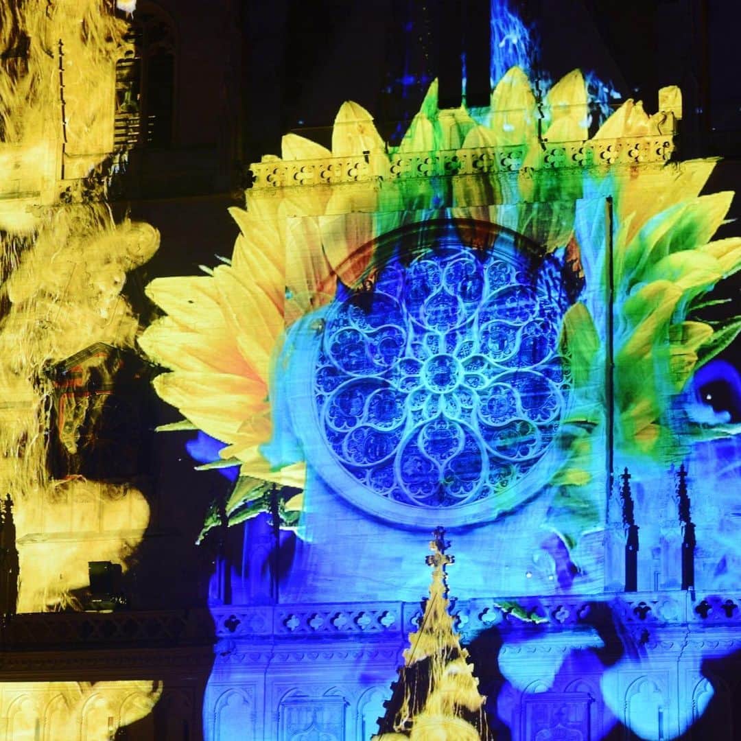 フランス大使館さんのインスタグラム写真 - (フランス大使館Instagram)「12月5日から8日にかけて、フランス、#リヨン では #光の祭典 が行われました✨期間中は、リヨンの通り、広場、歴史的建造物など、あちこちにアーティスト達が作品を投映しました。幻想的な世界が繰り広げられ、集まった人々を夢の世界へと誘いました✨📷by @villedelyon」12月12日 17時56分 - ambafrancejp