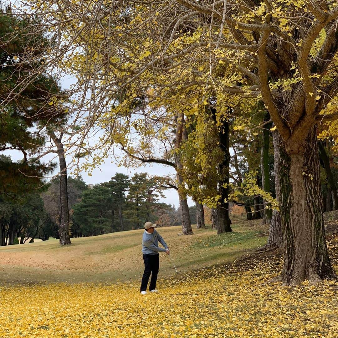 杉山愛さんのインスタグラム写真 - (杉山愛Instagram)「先日のONOFFのコンペ⛳️ 綺麗な紅葉を満喫🍂  練習もしてないから当たり前なのですが💦調子はイマイチ😅  それでもゴルフは楽しいね✨ 天候とメンバーに恵まれた素敵な1日でした🏌️‍♀️」12月12日 18時13分 - aisugiyamaofficial