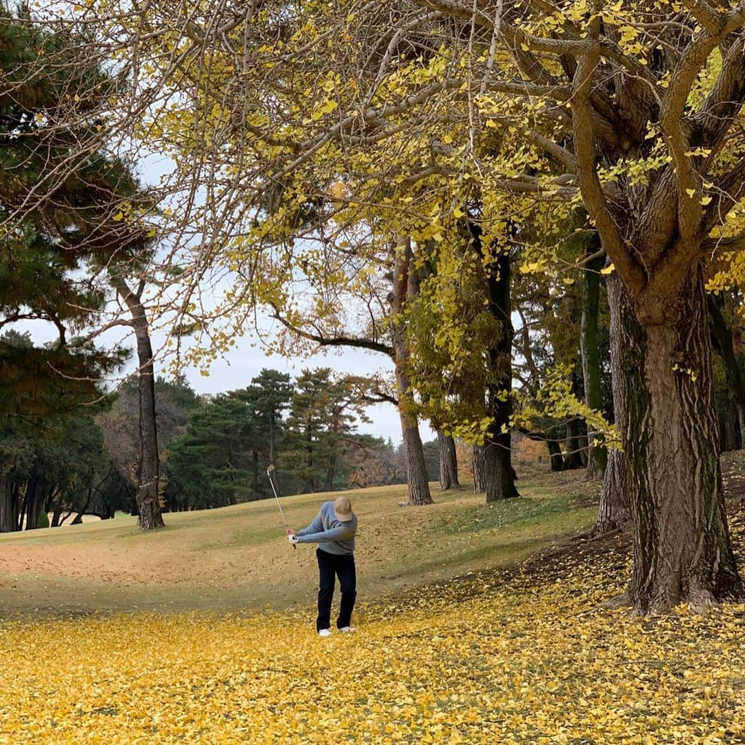 杉山愛さんのインスタグラム写真 - (杉山愛Instagram)「先日のONOFFのコンペ⛳️ 綺麗な紅葉を満喫🍂  練習もしてないから当たり前なのですが💦調子はイマイチ😅  それでもゴルフは楽しいね✨ 天候とメンバーに恵まれた素敵な1日でした🏌️‍♀️」12月12日 18時13分 - aisugiyamaofficial