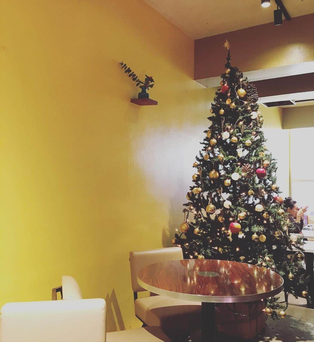 猫沢エミさんのインスタグラム写真 - (猫沢エミInstagram)「毎年、クリスマスツリーを飾ろうかと思いつつも、都内各所で見かけるツリーで満たされてしまって、結局飾らない自分がいる。  せめて、ピカピカ点滅するあのライトだけでも出してみようか…🎅 #東京下町時間」12月12日 18時23分 - necozawaemi