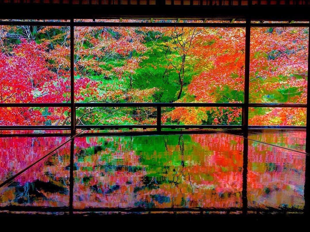 HIROKIさんのインスタグラム写真 - (HIROKIInstagram)「先日、瑠璃光院の紅葉を観てきました！！🍁 . 綺麗すぎたので、 みなさんにもおすそわけ！！ . . . そして、真剣に写経する僕。 . . #瑠璃光院  #そうだ京都行こう #そうだqyotoを聴こう  #ボールペンで写経  #瑠璃光院秋の特別拝観  #瑠璃光院🍁 #京都 #kyoto  #kyotojapan #japanautumn #japantravel #kyotogram #kyotophoto #kyotoautumnleaves #京都紅葉 #関西写真部 #京都観光 #京都好きな人と繋がりたい  #qyoto #violin #hiroki」12月12日 18時24分 - hiroki_qyoto