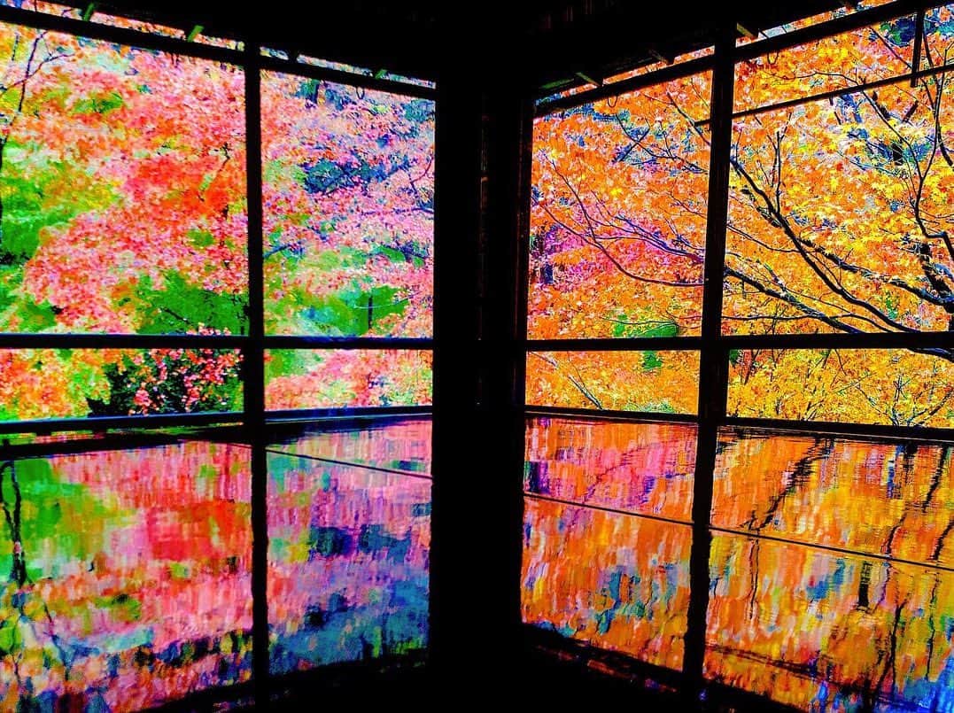 HIROKIのインスタグラム：「先日、瑠璃光院の紅葉を観てきました！！🍁 . 綺麗すぎたので、 みなさんにもおすそわけ！！ . . . そして、真剣に写経する僕。 . . #瑠璃光院  #そうだ京都行こう #そうだqyotoを聴こう  #ボールペンで写経  #瑠璃光院秋の特別拝観  #瑠璃光院🍁 #京都 #kyoto  #kyotojapan #japanautumn #japantravel #kyotogram #kyotophoto #kyotoautumnleaves #京都紅葉 #関西写真部 #京都観光 #京都好きな人と繋がりたい  #qyoto #violin #hiroki」