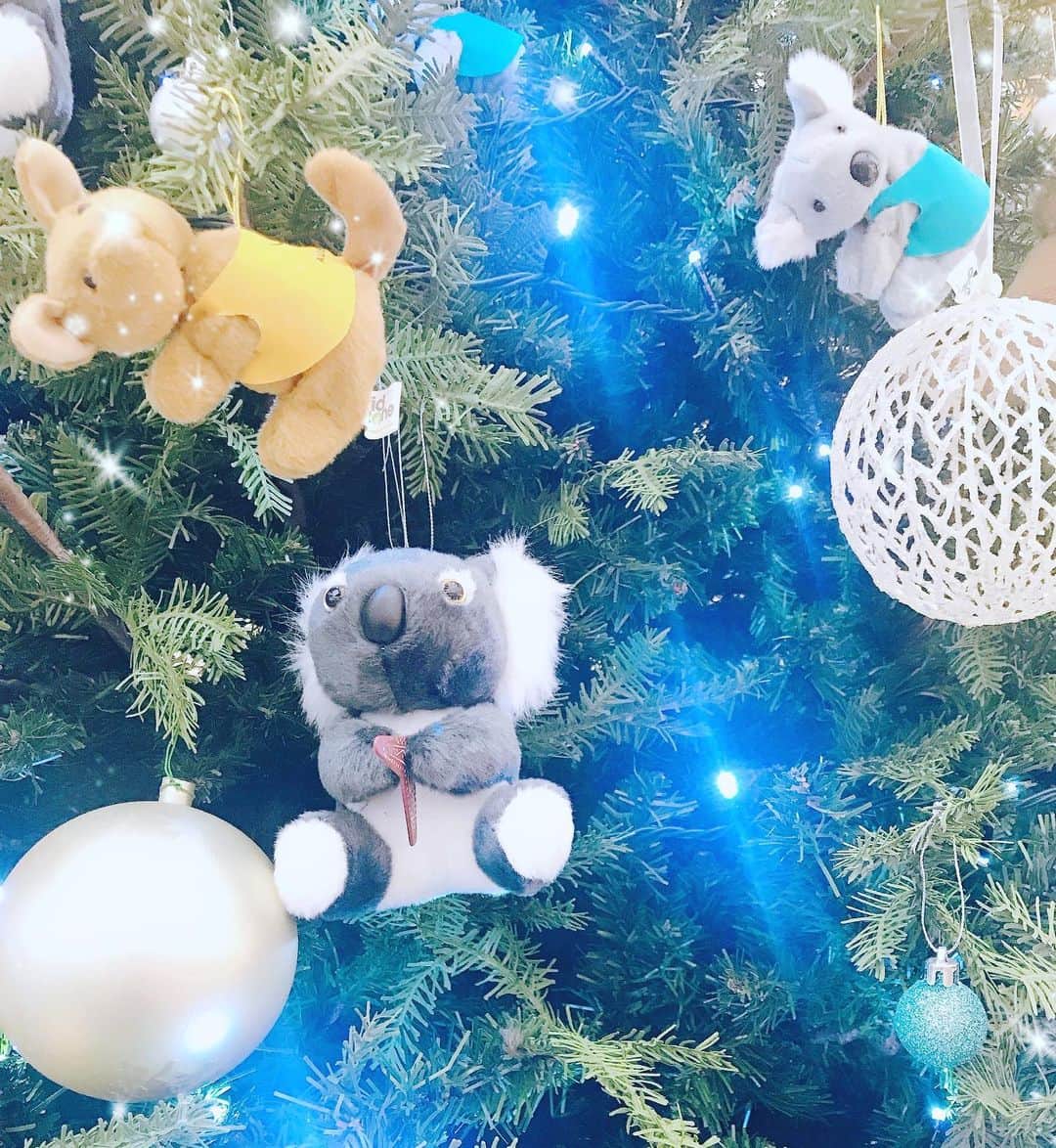 三浦泉さんのインスタグラム写真 - (三浦泉Instagram)「* 日本に帰国したら コアラのクリスマス🎄ツリー発見❣️ * 🐨コアラオンパレードで嬉しい😆♥️ * * #クリスマスツリー #コアラ #シドニー  #christmastree」12月12日 18時40分 - princessizu1201