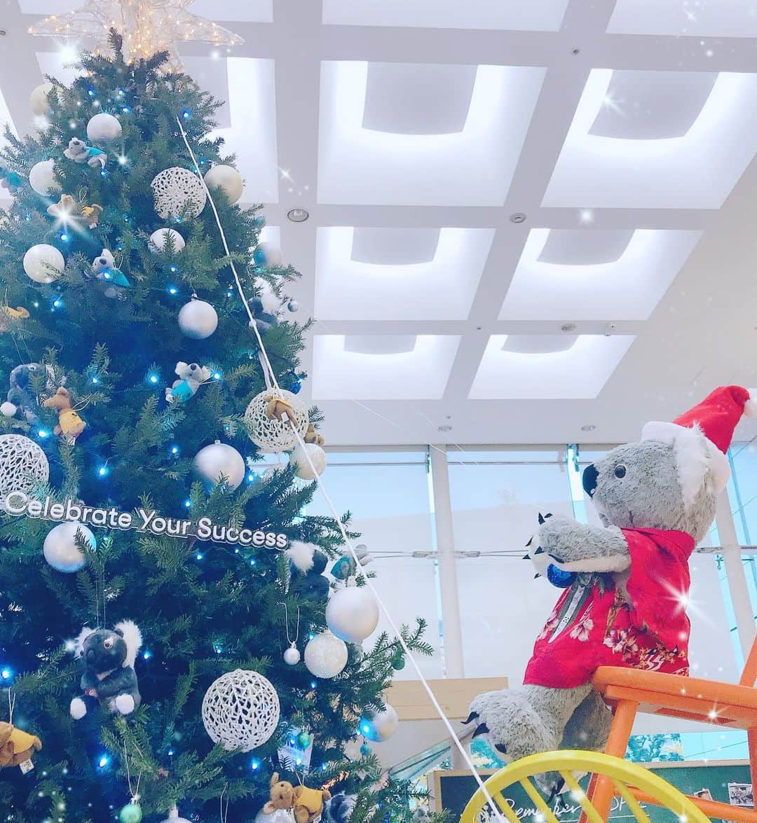 三浦泉さんのインスタグラム写真 - (三浦泉Instagram)「* 日本に帰国したら コアラのクリスマス🎄ツリー発見❣️ * 🐨コアラオンパレードで嬉しい😆♥️ * * #クリスマスツリー #コアラ #シドニー  #christmastree」12月12日 18時40分 - princessizu1201