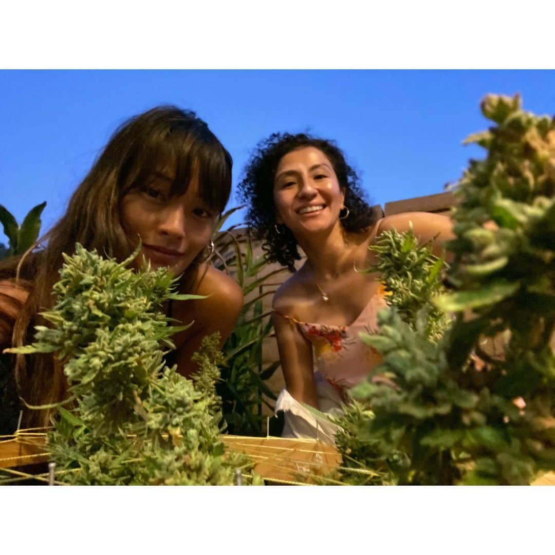 ジェラ・マリアーノさんのインスタグラム写真 - (ジェラ・マリアーノInstagram)「Witchy women🔮Happy last full moon of the year + decade🌝🌱#brujas #herbgarden #5446 #farmergirls #gardening #california」12月12日 11時24分 - jarahm