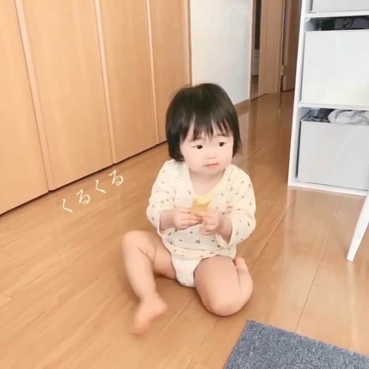 さっぴちゃんのインスタグラム：「♡. . くるくるくるくる♡ 途中で、『てーい！』って言いながら パン投げるのも可愛い🍞(笑) 何しても可愛い𓂂 . . Tシャツ(寝巻き)におむつ姿が可愛くて ついついずっとそのままにしてしまう𓈓(笑) . . 1歳2ヶ月のあかりさんは ✍︎ . ❩1人で立っちができる ❩2歩くらい歩けるようになった♡ ❩ご飯は同じような物が食べられて楽に♡ ↳しかし大きい具は嫌がられるから未だに小さめ ❩おいで〜♡って言うとこっち来る ❩上手〜♡って言うとパチパチする ❩ちゅ〜♡って言うとちゅーしてくれる♡ ↳なんとなく、意味が分かってるのかな？と 思う部分もあるけど、まだしっかり ママとは言わない(笑)待ち遠しい🥺！！ ❩らんまるに引っかかれても泣かなくなった ↳とても、強くなっております(笑) ❩夜泣きもまだパラパラする ❩基本的に抱っこしなくても1人で寝れる ↳けど隣からわたしがいなくなると起きる ❩相変わらず家中どこでも一緒のストーカー娘♡ ❩ご飯とパンは手で上手に食べられる ↳スプーンは、使う気がないみたい(笑) . . こんな感じでゆるゆるのんびり成長中♡ 毎日可愛くて一緒に居られるの、 本当幸せ！！！愛おしすぎてたまらん𓂂 . . ………………………………(♡)……………………………… .」