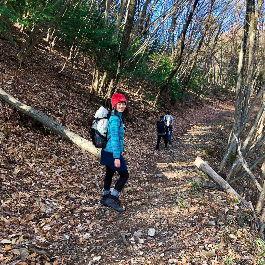 桜花さんのインスタグラム写真 - (桜花Instagram)「こんにちはでございマウンテン🗻🍀 午後もナイスにゴーゴー！🍀＼(^^)／ #こんにちは  #こんにちはでございマウンテン #山  #ナイスな午後を  #午後  #ゴーゴー  #山登り  #山梨県  #弥三郎山」12月12日 12時44分 - mountainohka