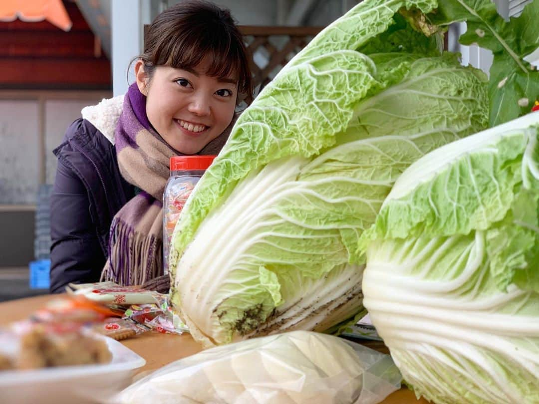 田村友里さんのインスタグラム写真 - (田村友里Instagram)「. 今日の『花よりガッツ』は 【吉和】を旅しております😊✨ . まちの人みんなが知り合いで、 一つの大きな家族みたいだった吉和。 気候は寒かったけど、心はポッカポカ！ とっても温かかった！！！ . ぜひ、今日のイマなまっ！ご覧ください🌸💪 . #イマなまっ！#イマなま #花よりガッツ #吉和 #田村友里」12月12日 12時56分 - yuri_tamura0894