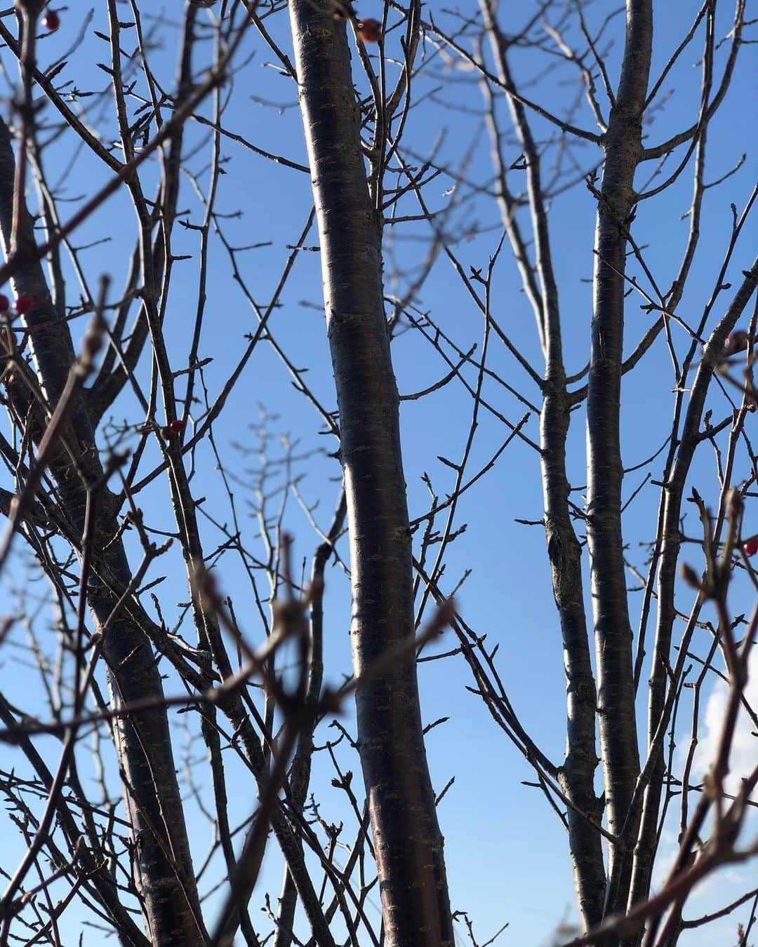 宇佐卓真さんのインスタグラム写真 - (宇佐卓真Instagram)「冬とは思えない天気と、自然の豊かさになんだかリフレッシュされました。  現場から。」12月12日 13時17分 - usa_takuma