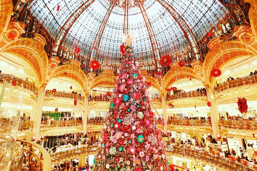 樋口智恵子のインスタグラム：「Love this season in Paris🎄🇫🇷✨ @galerieslafayette . . . . クリスマスシーズン毎年恒例ラファイエの巨大なツリー🎄本当に素敵✨ . . . . #galerieslafayette #paris #christmastree #noel #christmasdecor #holidayseason #christmasillumination #パリ #パリ旅行 #ギャラリーラファイエット #クリスマスツリー #クリスマスイルミネーション」