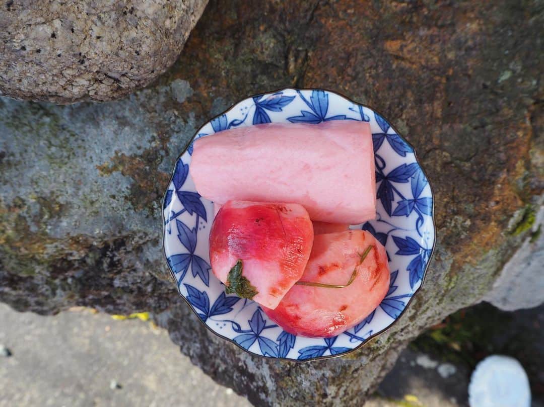 のインスタグラム：「澤井おばあちゃんの畑漬け  グッと美味しくなりました。  絶滅危惧種の畑漬け。 12/19のおむすび屋さんで この澤井おばあちゃんの畑漬けを 食べてもらえます。  News ①12/12は、おむすび屋さんはお休みです。12/19が今年最後の営業。  ②1/18のN’s HaCcOoo Labの手前みそは増席しましたが、あとラスト1席。 https://facebook.com/events/720320448477866/?ti=icl  ③N’s HaCcOoo Lab に来てくださった方限定販売の年末年始の発酵キットのお申込み受付中！  ④12/26.27情熱大陸のチーズ職人の千代ちゃんと奥三河の湯谷温泉旅行、お申込み受付中！  #畑漬け #高島市 #棚田 #棚田百選 #澤井おばあちゃん #発酵活動家」
