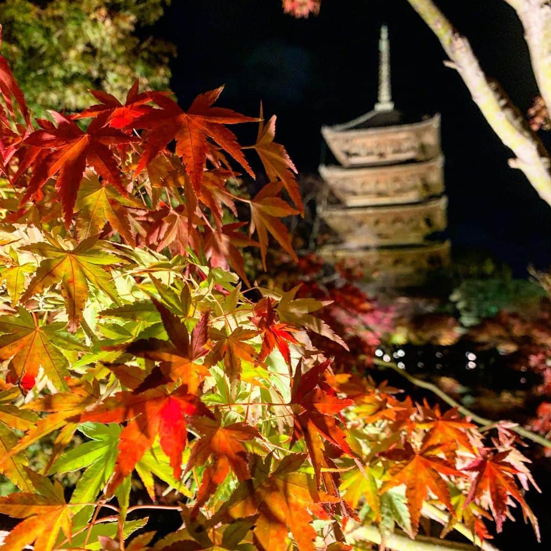 宇都宮絵莉のインスタグラム：「・ この前の紅葉ライトアップ🍁 とっても綺麗でした✨ 初めて見れてうれしい〜。 #紅葉 #紅葉ライトアップ #東寺 #京都 @__gee713 連れて行ってくれてありがとう♡」