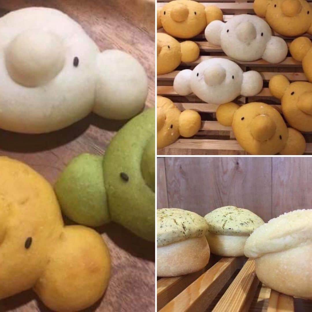 タピエスタイルのグルメインスタ