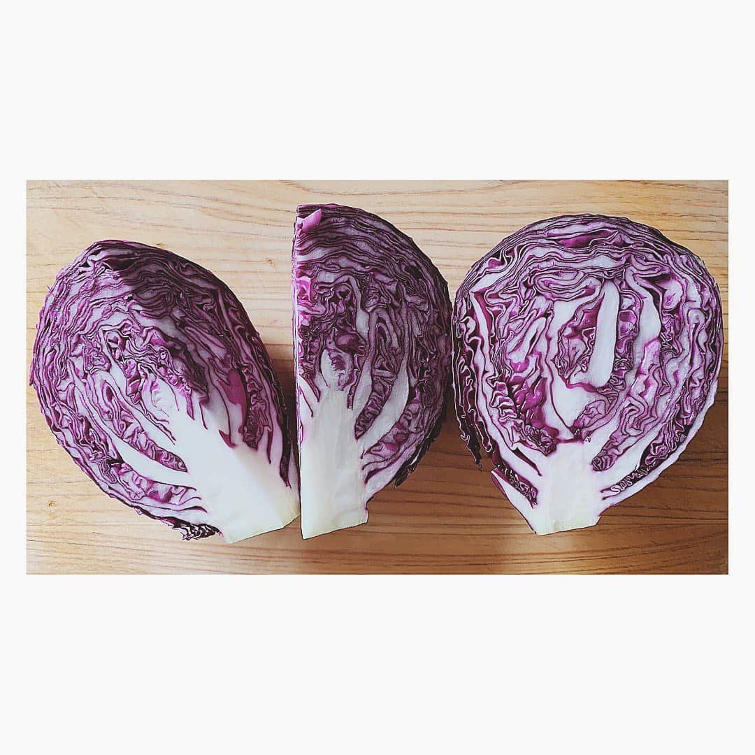 のインスタグラム：「#萌え断」