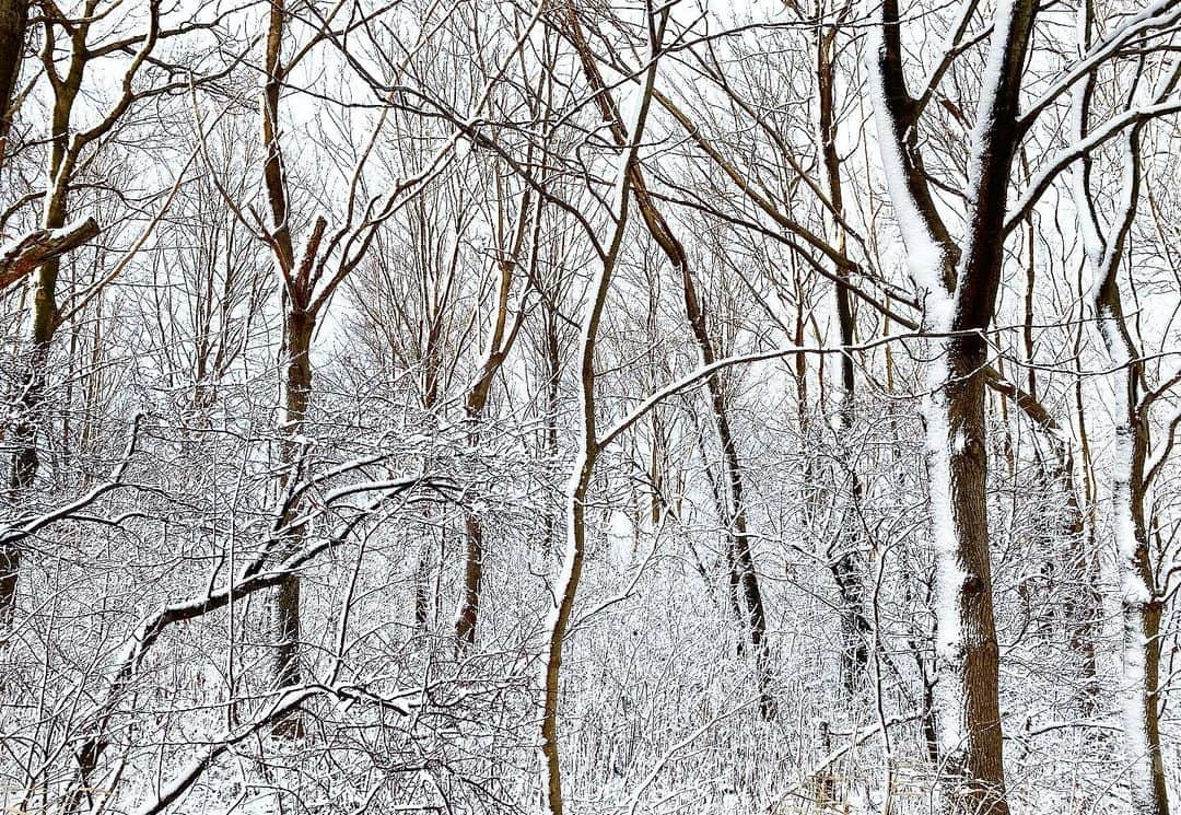 佐藤広大さんのインスタグラム写真 - (佐藤広大Instagram)「❄️❄️❄️❄️❄️❄️❄️ 生まれた街のあの白さを あなたにも見せたい  #北海道クオリティ #winteragain」12月12日 14時56分 - satokodai601113