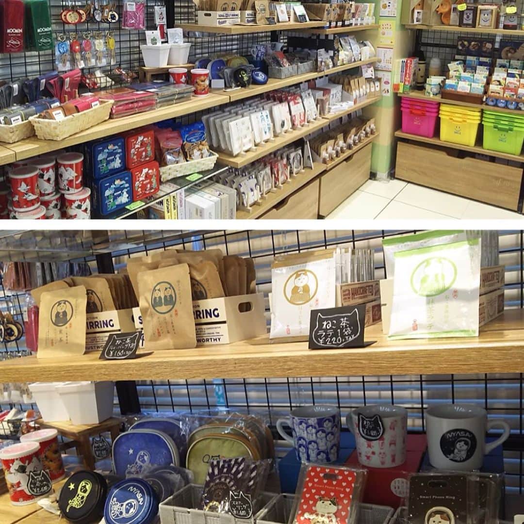 ねこさんのインスタグラム写真 - (ねこInstagram)「愛知県稲沢市のリーフウォーク1Fにある、【BOOKSえみたす 稲沢東店】さんにNEKONOBA商品一部展開して頂いておりますっ🌞🤟🏻🌈やったー😆✨ ラインナップは、 ・ねこ茶商印の日本茶 ・抹茶ラテ、ほうじ茶ラテ ・蚊帳生地ふきん ・スマートフォンリング ・トートバッグ類 ・中身が見えるメッシュポーチ ・サークルミニポーチ＆キーケース ・ガーゼハンカチ ・ガーゼ手ぬぐい ・ほど良いサイズのねこマグカップ などっ🙆‍♀️💯✨ 色々あるよ〜揃ってるよ〜😁✨ お近くにお住いの方はいるかな！？(*≧∀≦*)ぜひぜひ遊びに行ってみてねっ📚😸❤️ #neko_magazine #NEKONOBA #ねこマガジン #ネコノバ #ねこ #猫 #cat #catstagram #cat #booksえみたす #リーフウォーク稲沢 #稲沢 #kozacla #nyasa #ねこ茶商」12月12日 14時57分 - neko_magazine