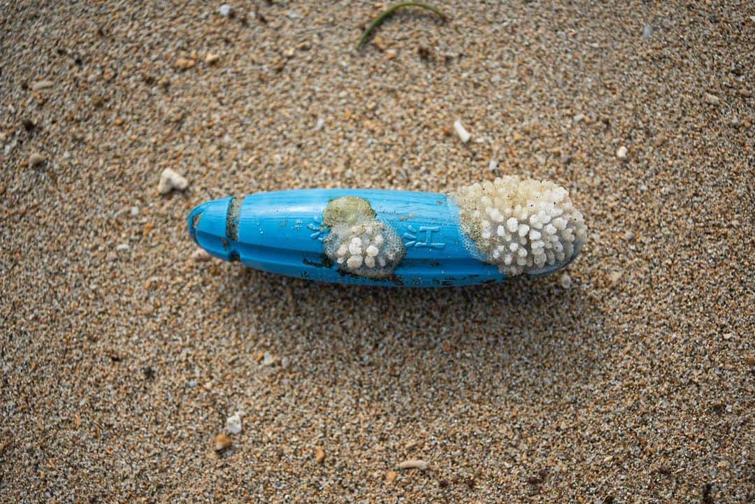 阿部裕介さんのインスタグラム写真 - (阿部裕介Instagram)「石垣島ビーチクリーン  サンゴがプラスチックに！ そしてプラスチックは削られて、徐々に海や山や土に紛れ込みます。消えるのではありません。 細かくなり、漂うのです。  #tnf_athletesummitjapan」12月12日 14時59分 - abe_yusuke