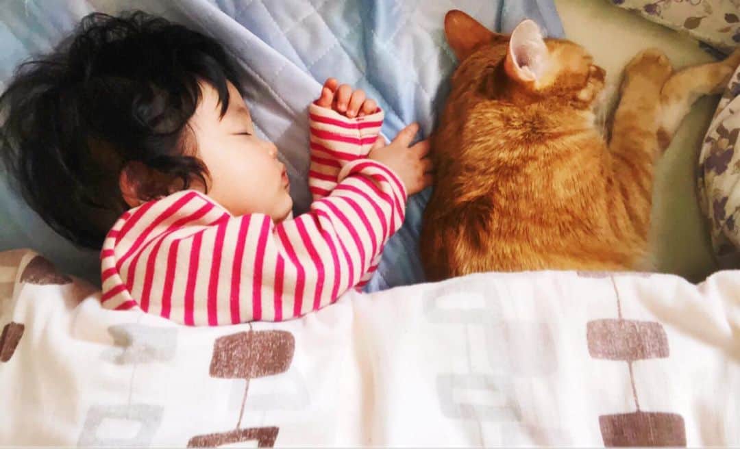 ねこさんのインスタグラム写真 - (ねこInstagram)「同じポーズ😂😂😂❤️ #neko_magazine #NEKONOBA #ねこマガジン #ネコノバ #ねこ #猫 #cat #catstagram #cat #赤ちゃん #赤ちゃんと猫 #猫と赤ちゃん」12月12日 15時06分 - neko_magazine