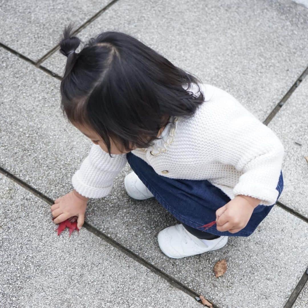 木本泉のグルメインスタ